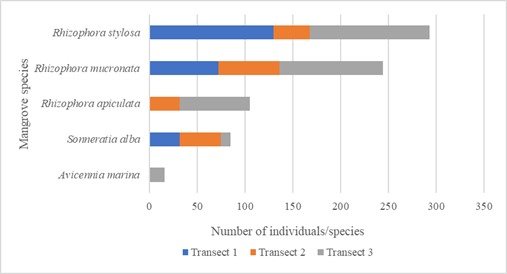 The number of individuals of each mangrove species in each observation transect at Bale Mangrove Ecotourism Area